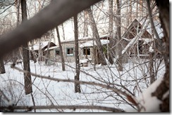 tn2010-12-29_15-59-47_vitaliG