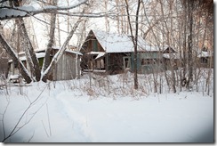 tn2010-12-29_16-00-03_vitaliG