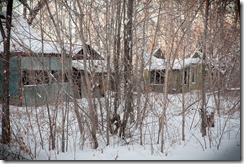 tn2010-12-29_16-00-07_vitaliG